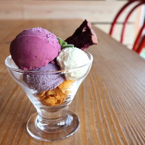 【復興支援】notono フローズンヨーグルト・アイスミルク詰合せ (12個入り)