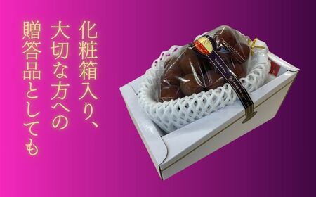 2026年 先行予約 ルビーロマン ぶどう 1房 600g～800g