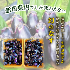 【先行予約】新潟黒十全なす 新鮮 朝採り 採りたて 1kg 令和8年産 茄子 ナス 特産品 野菜 夏野菜 つぐちゃん畑 新潟 新潟県 新発田産 新発田市 tsuguchan002_01