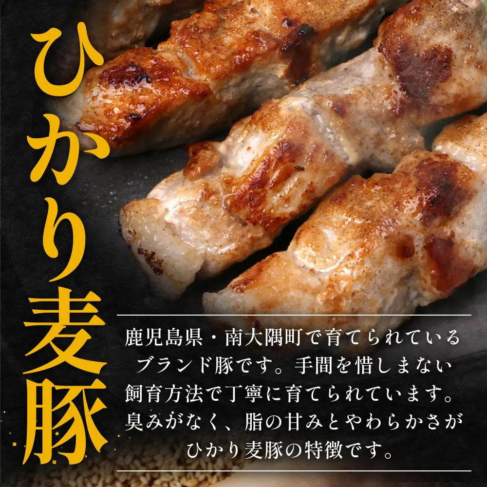 鹿児島県産 ひかり麦豚 串焼きとん 計32本 （4本×8パック）冷凍 HM-9 | 肉 お肉 にく 豚肉 焼豚 串焼 冷凍 BBQ おつまみ 加工品 真空冷凍 新鮮 小分け 産地直送 鹿児島県 南大隅町 ひかり麦豚直売所