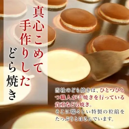 どら焼き 掌(たなごころ) 10個入【1649301】