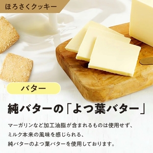 訳あり ほろさくクッキー 10袋 (5種100枚) クッキー