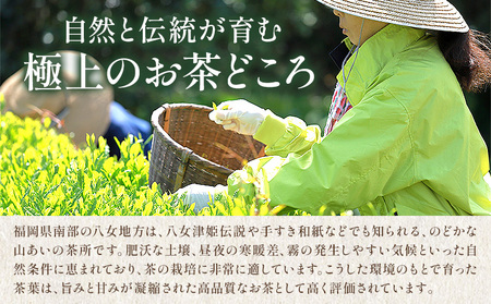 八女茶 深蒸し 茶煎茶 100g 株式会社JSE《30日以内に出荷予定(土日祝除く)》福岡県 鞍手郡 鞍手町 お茶 煎茶 深蒸し茶 お茶 茶葉 お茶の葉 お茶葉 煎茶 国産 日本茶 飲物 飲み物 飲みもの のみもの