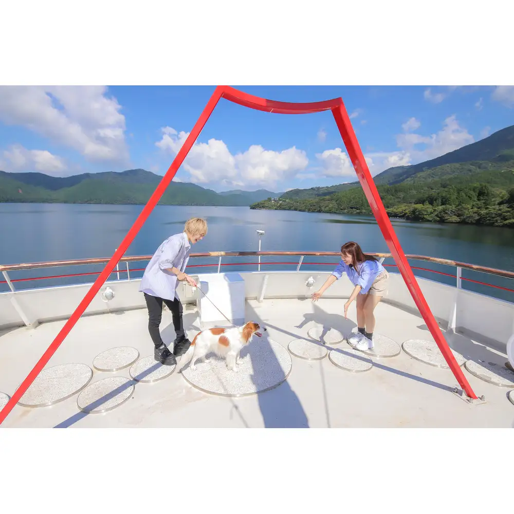 芦ノ湖遊覧船　1日フリー乗車券＋ワンちゃん2匹まで［チケットチケット］