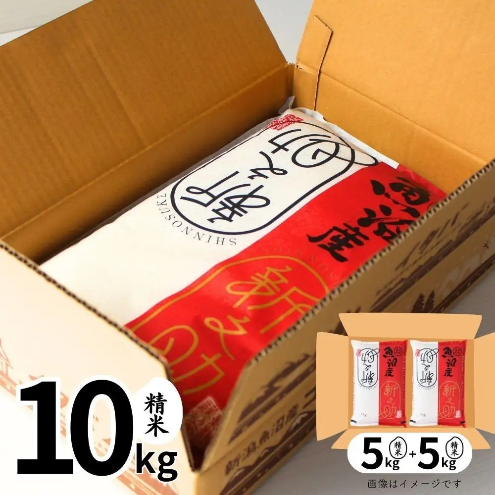 6ヶ月定期便 中魚沼産 新之助 10kg |津南町 令和7年