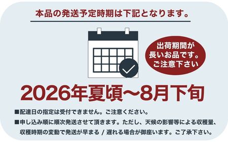 桃 山梨の桃　約2kg【tab0182】