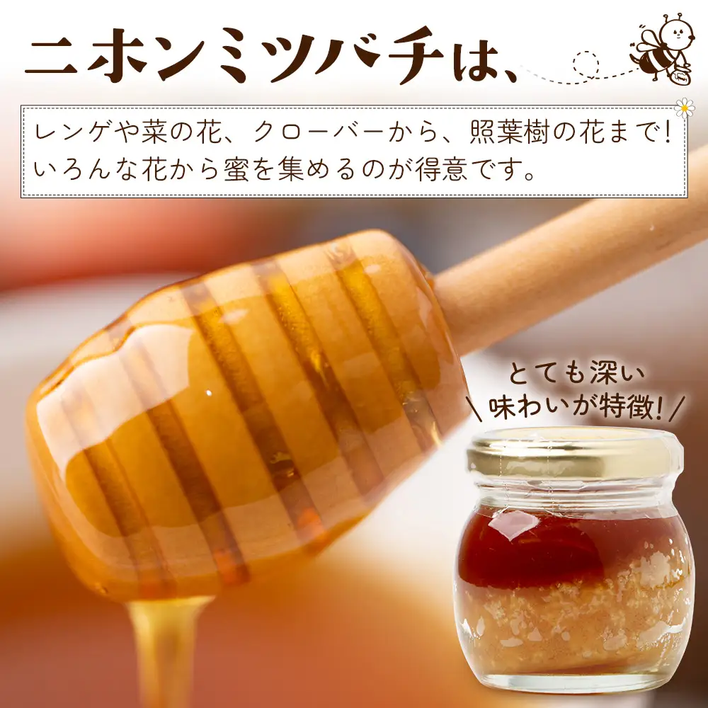 はちみつ 蜂蜜 3種 セット（100g×3個）31 Honey《数量限定》MM-1｜国産 はちみつ ハチミツ 蜂蜜 養蜂 ハニー 百花蜜 百花はちみつ 日本みつばち 天然 非加熱 産地直送 鹿児島県 南大隅町 南大隅町日本みつばち研究会