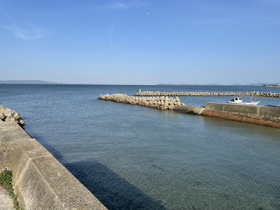 【浜オートキャンプ場】【浜オートキャンプ場】ソロデイキャンプ1サイト区画(1名)利用券 ｜宿泊 旅行 体験 アウトドア バーベキュー BBQ 日の出 海 愛知県 美浜町