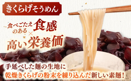 しいたけ素麺ときくらげ麺のセット（各2食分） ADBA017 素麺 そうめん 人気