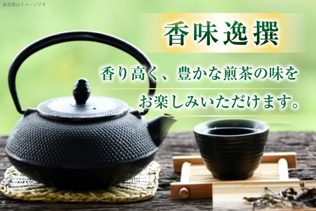 お茶 八女茶 特上 煎茶セット 100g 2袋 [木村食品 福岡県 筑紫野市 21761041]