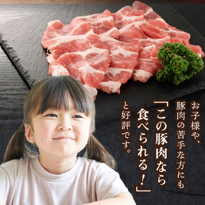 クリスタルポーク生姜焼き1kg