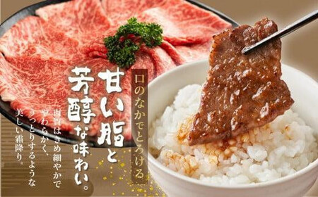 A5等級 飛騨牛 定期便 赤身 4回【1月・4月・7月・10月発送】|  牛肉 定期便 HF110