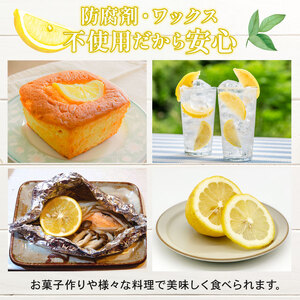 【先行予約】訳ありレモン 3kg ワックス 防腐剤不使用 サイズミックス カラーミックス グリーンレモン イエローレモン 柑橘 傷 不揃い レモン 檸檬 れもん  サイズミックスレモン 規格外 常温 愛南町 青果市場 愛媛県 
