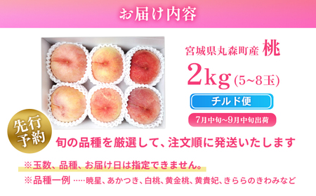 【先行予約】《7月中旬～9月中旬出荷》 宮城県丸森町産 桃 5～8玉（約2kg）【4800401】