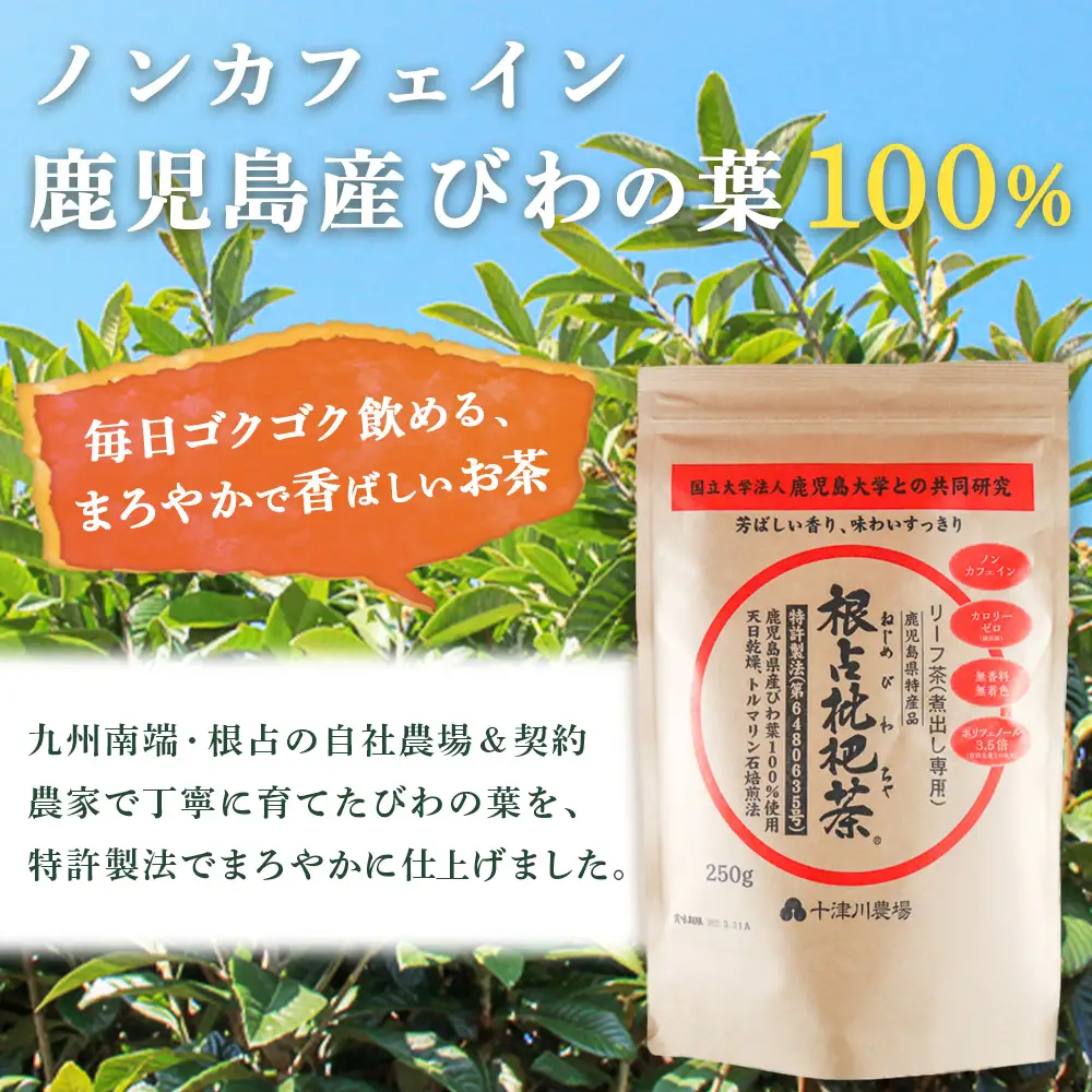 根占枇杷茶 徳用茶葉  1袋（250g入）煮出し用 TO-18-NP | ねじめ びわ茶 国産 大容量 トルマリン石 焙煎 健康茶 お茶 煮だし 飲みやすい 香ばしい おいしい びわの葉 ネコポス 鹿児島県 南大隅町 十津川農場