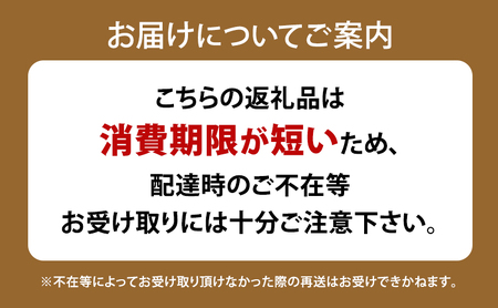 高級デニッシュ食パン「MIYABI」　ミヤビパン　プレーン1.5斤　3本セット　パン 食パン 高級食パン デニッシュ食パン ふんわり しっとり もっちり 宮家献上品 朝食 直営工場 羽田 東京