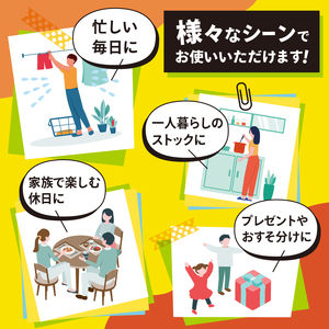 【定期便12回】一番人気！ココイチ カレー Bセット（ビーフ・ポーク各5個 定番） (毎月お届け）｜栃木県 矢板市