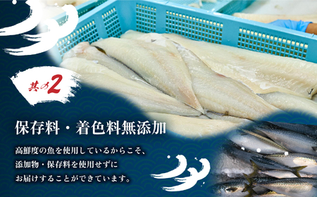サバ 訳あり 塩さば 切り身 約1kg