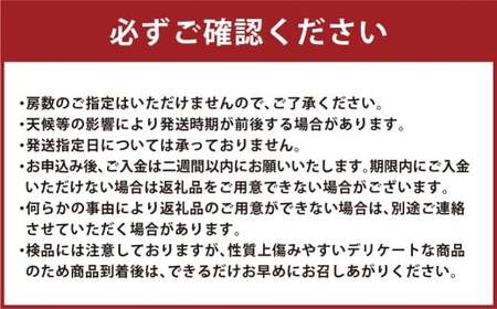 岡山県産 シャインマスカット 家庭用 約2kg マスカット ぶどう ブドウ 葡萄 果物 フルーツ 岡山県 倉敷市【2026年9月上旬～9月下旬まで順次発送予定】