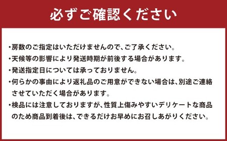 岡山県産 シャインマスカット 家庭用 約5kg マスカット ぶどう ブドウ 葡萄 果物 フルーツ 岡山県 倉敷市【2026年9月上旬～9月下旬まで順次発送予定】