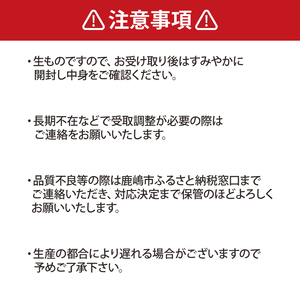 【先行予約】ぶどう 粒どり  約28個～32個入り