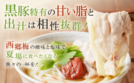 麦のはな の さつま西郷梅黒豚南蛮うどん セット K071-006