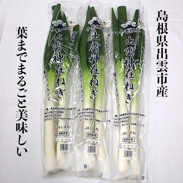 出雲神在（かみあり）ねぎ