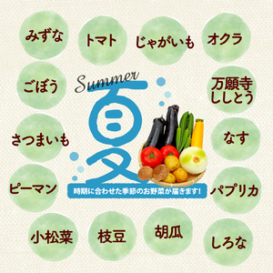 【厳選】 野菜セット 1回 野菜