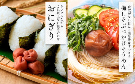 梅 ご家庭用 紀州南高梅 梅干し1袋 220g