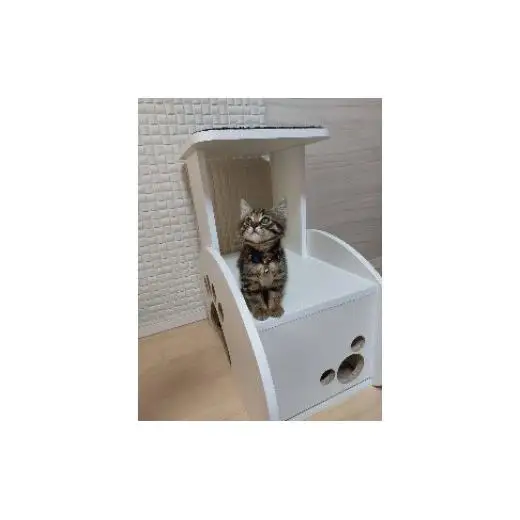 ネコハウス（2段型）