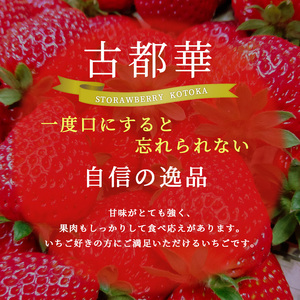 冷凍いちご 1kg 奈良県産 古都華 -40度で急速冷凍！ ことか スムージー フルーツ デザート BN001