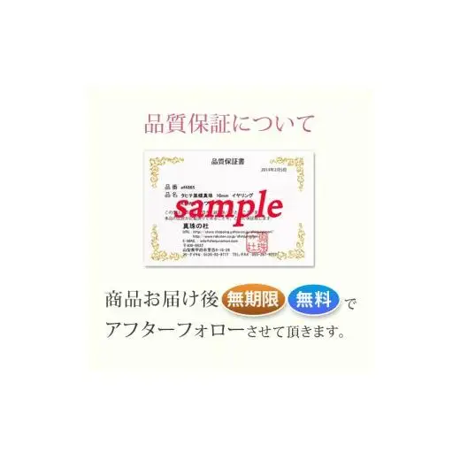 シルバー　キュービック　ペンダントネックレス　57?51304　【111-008】