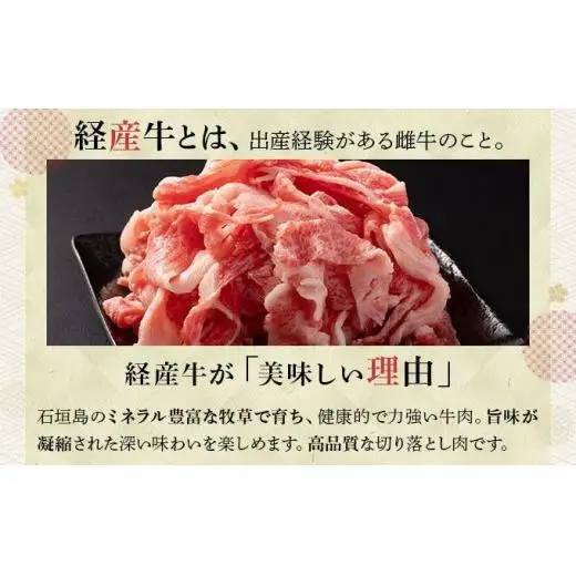 ＜わんの牛＞石垣島産経産黒毛和牛 切り落とし 250g×4袋 合計1kg NA-02