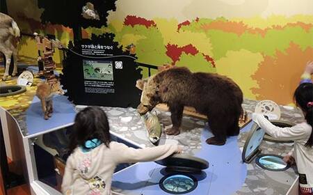 歴史と文化の北海道3館共通券 一般2名様分と北海道地域限定旅行クーポン15,000円分（Eメール発行） 人気 おすすめ 利用券 チケット F6S-522