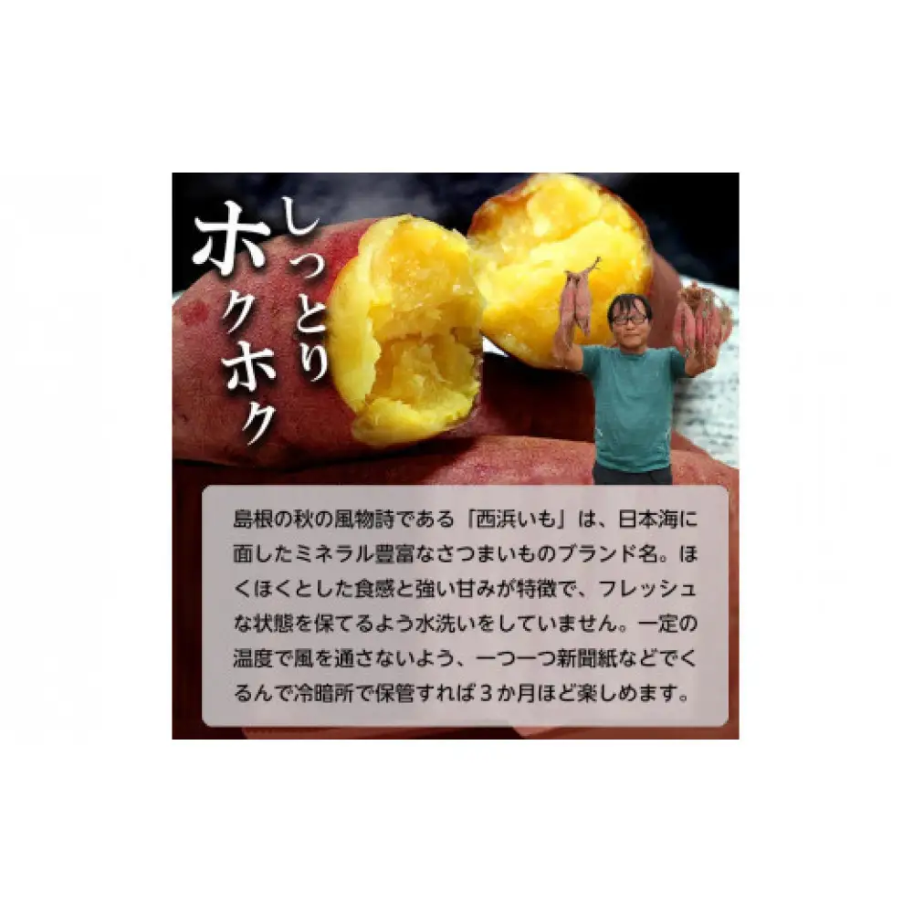 西浜いも（べにはるか）5kg