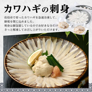 大分県産 カワハギ 刺身 ・ 切身 セット (総量540g) かわはぎ 刺し身 切り身 鍋 小分け 冷凍 魚 国産 【opbe002】【水元】