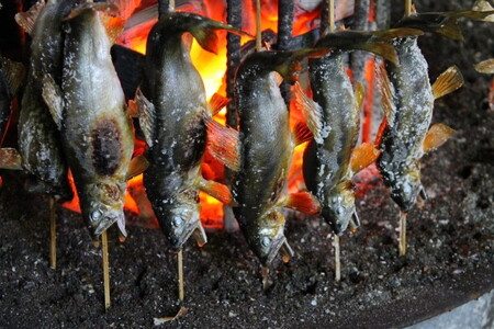 20-14 (有)あゆの里 矢沢のヤナ お食事券6,000円分（ヤナ漁体験無料券付き）