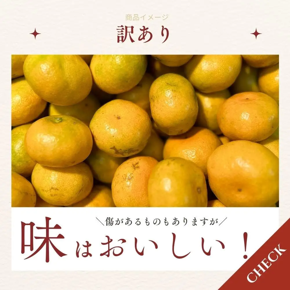 有田みかん 極早生  2.6kg（箱込み3kg） 訳あり S～Lサイズおまかせ  【2026年11月発送】