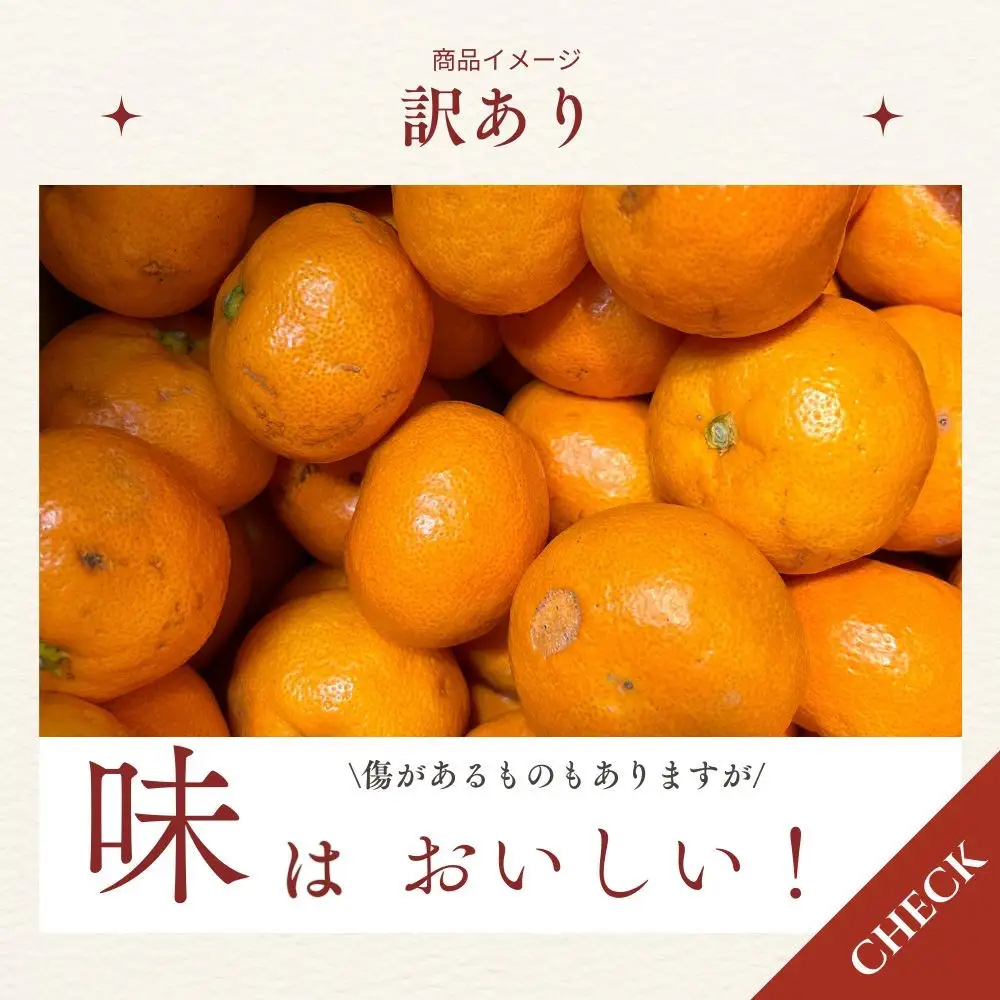 有田みかん 早生 温州みかん 2.6kg（箱込み3kg） 訳あり S～Lサイズおまかせ 柑橘 フルーツ