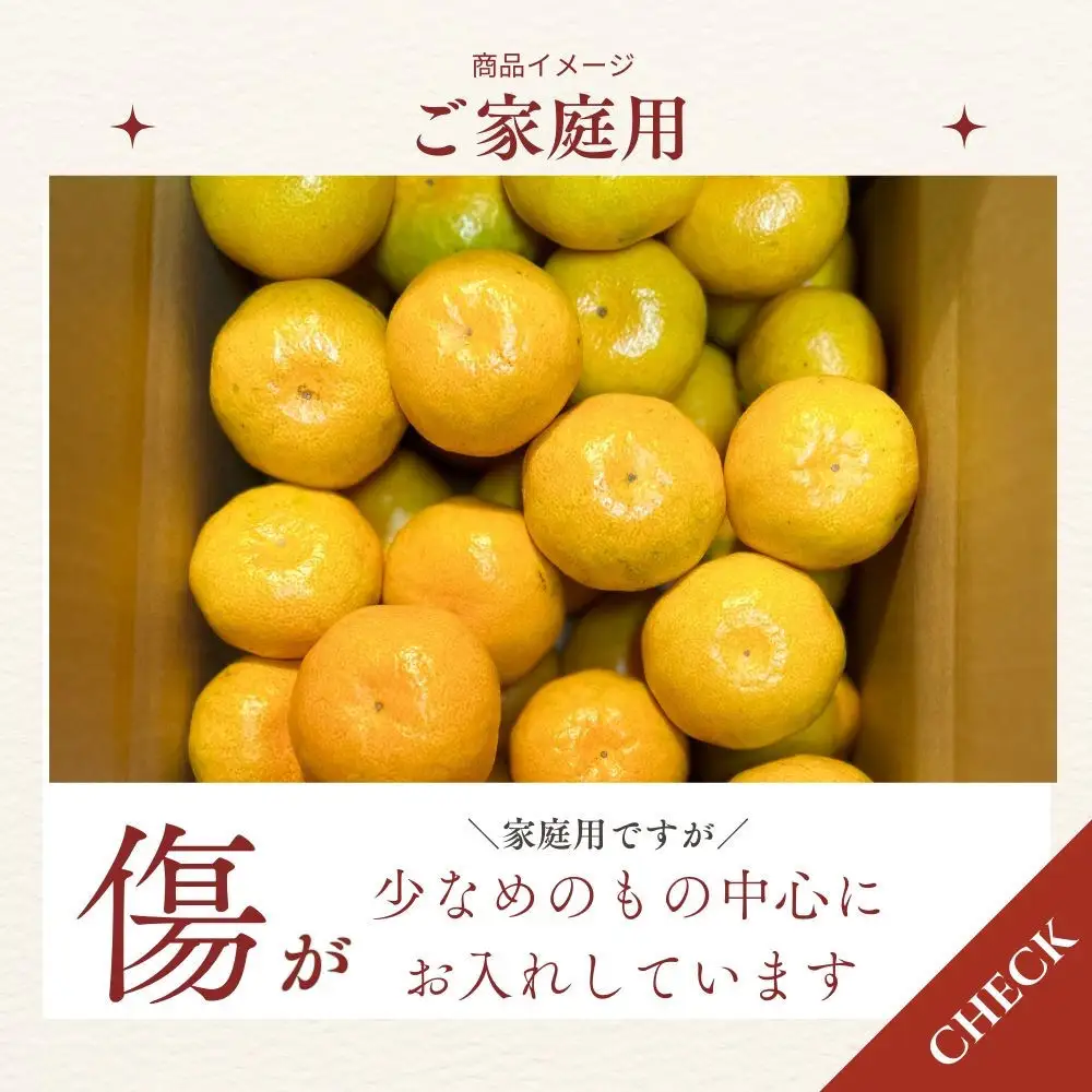 【ふるさと納税】有田みかん 極早生 4.5kg（箱込み5kg）家庭用 S～Lサイズ おまかせ【2026年11月発送】柑橘 フルーツ みかん 産地直送 お取り寄せ 送料無料