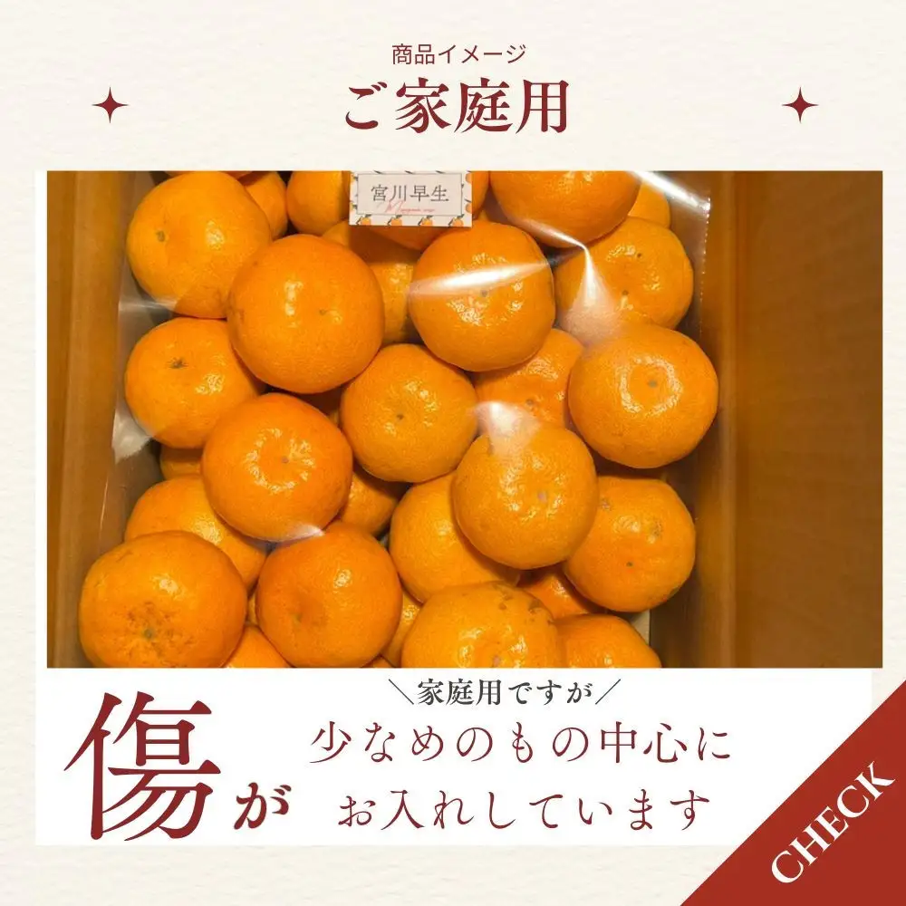 【ふるさと納税】【先行予約】有田みかん 早生 温州みかん 9.3kg（箱込み10kg）家庭用 S～Lサイズ おまかせ 柑橘 フルーツ みかん 産地直送 お取り寄せ 送料無料 温州ミカン