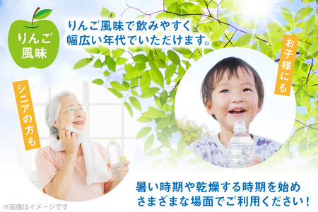 定期便 経口補水液 アクアソリタ(R)　500mL 24本入 6回 計 144本 [アールネクスト 富山県 朝日町 34310503]