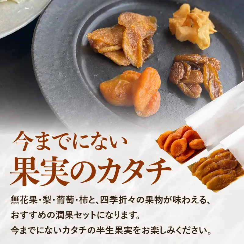 ドライフルーツ 潤果（四季果セット） ドライフルーツ ブランド果実 柿 秋王 いちじく とよみつ姫 梨 幸水梨 シャインマスカット 着色料不使用 保存料不使用 甘味 おやつ お茶菓子 おつまみ セット 贈答品 プレゼント ギフト 福岡県 八女市 206-004