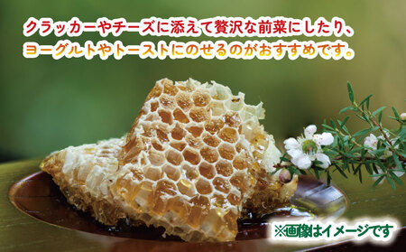 巣蜜 コムハニー 250g × 3個 セット 宇和島農産 ハニー F025-132013