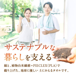 「土にかえるタオル」スマートハンカチ同色2枚セット PLAS-060 P-FACTS【011E-036】
