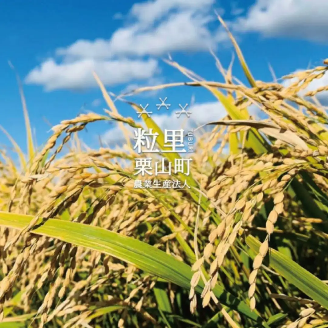 ななつぼし 精米 5kg 北海道栗山町産 粒里米