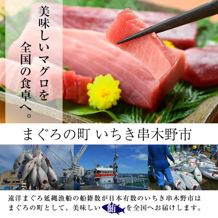 天然　本マグロ 中トロ 100g×2 赤身 100g×2 計400g 食べ比べ　小分け柵セット【00-041-15】