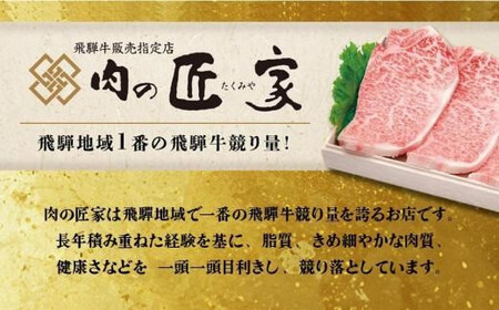 【訳あり】飛騨牛づくし定期便【1月・4月・7月・10月発送】 | 黒毛和牛 和牛 肉 牛肉 切落し 小分け 肉の匠家 BV105