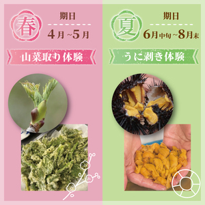 季節の三陸体験 体験チケット (1名様分/1体験) 三陸アクティブ 三陸 大船渡 大船渡市 体験 体験チケット チケット 夏休み 冬休み 春休み うに ウニ 山菜 山菜取り キノコ きのこ きのこ狩り キノコ狩り 鱈 たら タラ 季節 自然 旬