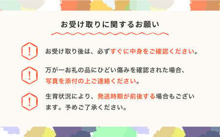先行予約 さくらんぼ 紅秀峰 令和8年産 ja-bsslb700